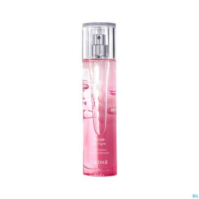 Sie sehen eine Packung Caudalie Eau Fraiche Rose De Vigne 50ml, Produktbild: 03 Caudalie Eau Fraiche Rose De Vigne 50ml, A-Nr.: 4340371 - 03