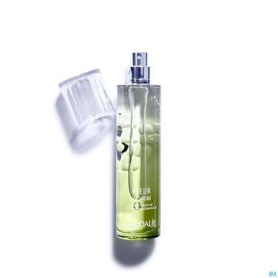 Sie sehen eine Packung Caudalie Eau Fraiche Fleur De Vigne 50ml, Produktbild: 03 Caudalie Eau Fraiche Fleur De Vigne 50ml, A-Nr.: 3832971 - 03