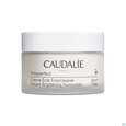 Sie sehen eine Packung Caudalie Vinopferfect Creme Anti-pigmentflecken 50ml, Produktbild: 02 Caudalie Vinopferfect Creme Anti-pigmentflecken 50ml, A-Nr.: 5246711 - 02