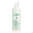 Sie sehen eine Packung Caudalie Vinoclean Reinigungsschaum 50ml, Produktbild: 01 Caudalie Vinoclean Reinigungsschaum 50ml, A-Nr.: 5413741 - 01