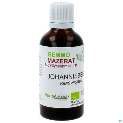 Gemmo Mazerat Bio Phytoaustria Schwarze Johannisbeere Ribis Nigrum 50ml, A-Nr.: 4597472 - 01