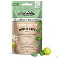 Sie sehen eine Packung Swissherbs Grether’s Pastilles Fresh Breath Zuckerfrei 45g, Produktbild: 01 Swissherbs Grether’s Pastilles Fresh Breath Zuckerfrei 45g, A-Nr.: 5384749 - 01