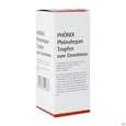 Sie sehen eine Packung Phoenix Tropfen Phoenohepan 100ml, Produktbild: 02 Phoenix Tropfen Phoenohepan 100ml, A-Nr.: 2374147 - 02