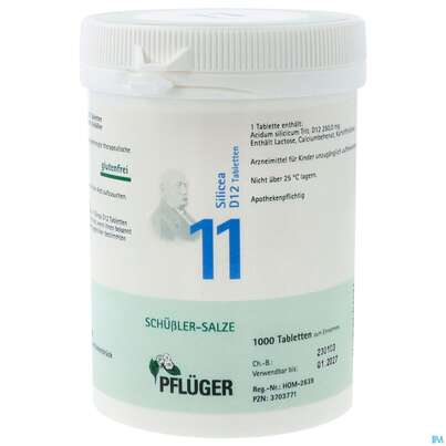 Sie sehen eine Packung Schuess 11 Silic D12 Pflu Tbl 250g, Produktbild: 01 Schuess 11 Silic D12 Pflu Tbl 250g, A-Nr.: 3703771 - 01