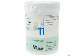 Sie sehen eine Packung Schuess 11 Silic D12 Pflu Tbl 250g, Produktbild: 01 Schuess 11 Silic D12 Pflu Tbl 250g, A-Nr.: 3703771 - 01