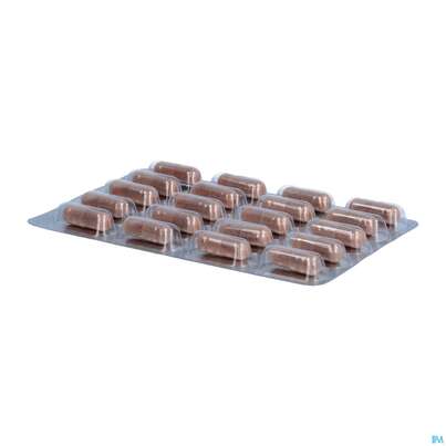 Sie sehen eine Packung Dr.wolz Cardio Care Kapseln 60567 60st, Produktbild: 06 Dr.wolz Cardio Care Kapseln 60567 60st, A-Nr.: 4782270 - 06