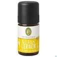 Sie sehen eine Packung Primavera Duftmischung Leichter Lernen 5ml, Produktbild: 02 Primavera Duftmischung Leichter Lernen 5ml, A-Nr.: 4322195 - 02