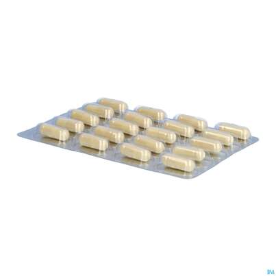 Sie sehen eine Packung Sanuzella D Kapseln Dr.wolz Nr.60634 60st, Produktbild: 06 Sanuzella D Kapseln Dr.wolz Nr.60634 60st, A-Nr.: 3693535 - 06