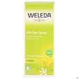 Weleda Citrus 24h Deo Spray 100ml, A-Nr.: 1132034 - 01