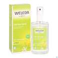 Weleda Citrus 24h Deo Spray 100ml, A-Nr.: 1132034 - 06