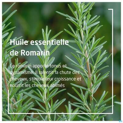 Sie sehen eine Packung Weleda Rosmarin Aktivierungsbad 200ml, Produktbild: 10 Weleda Rosmarin Aktivierungsbad 200ml, A-Nr.: 5034469 - 10